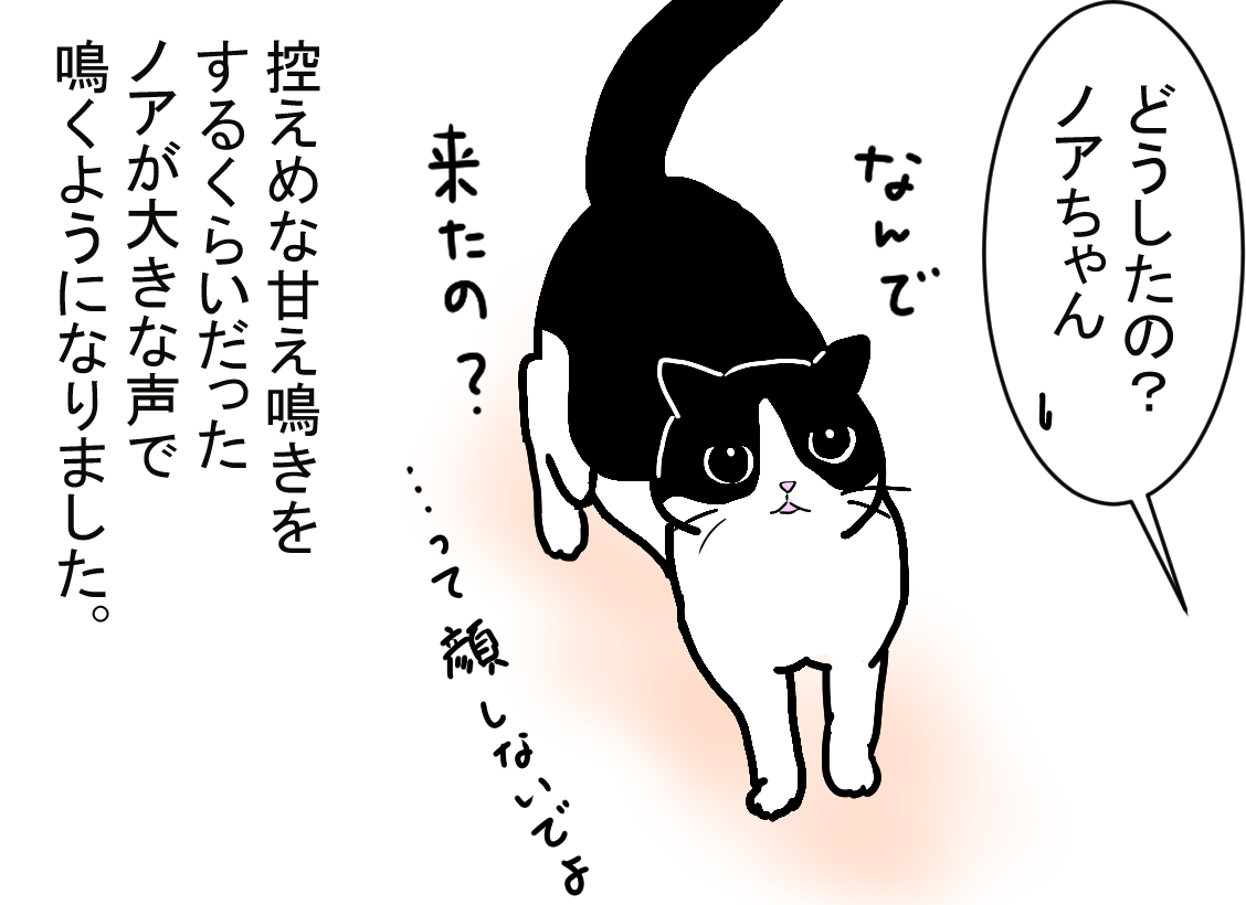 ノアレオン88