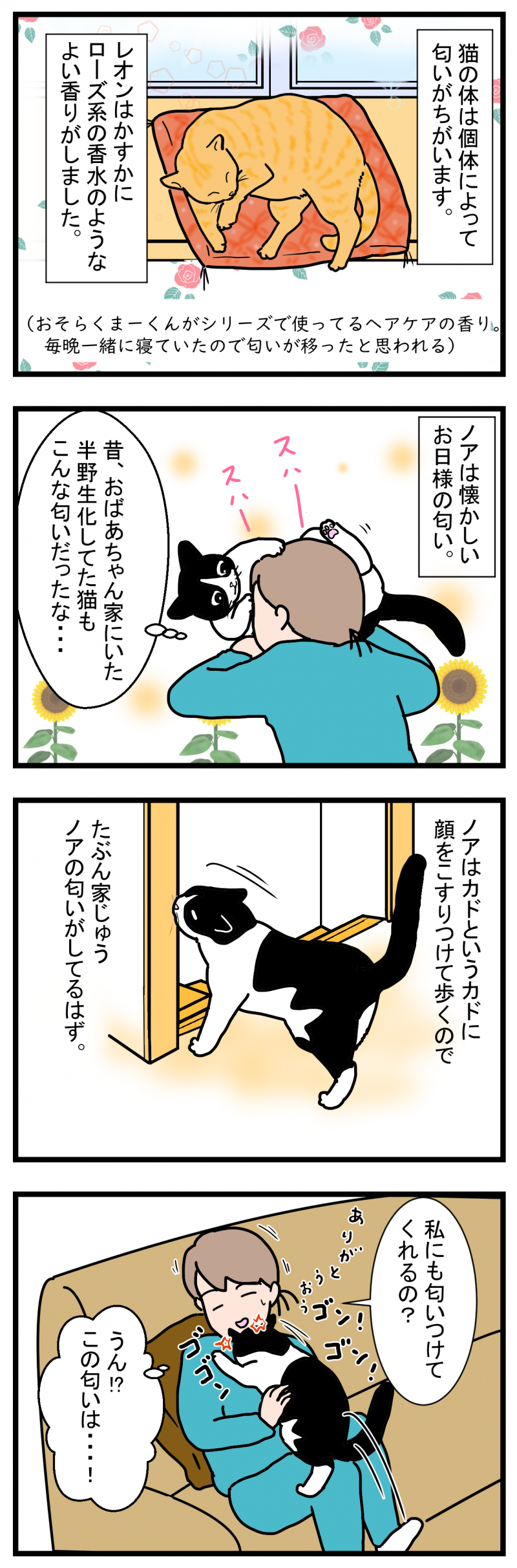 ノアレオン91-1