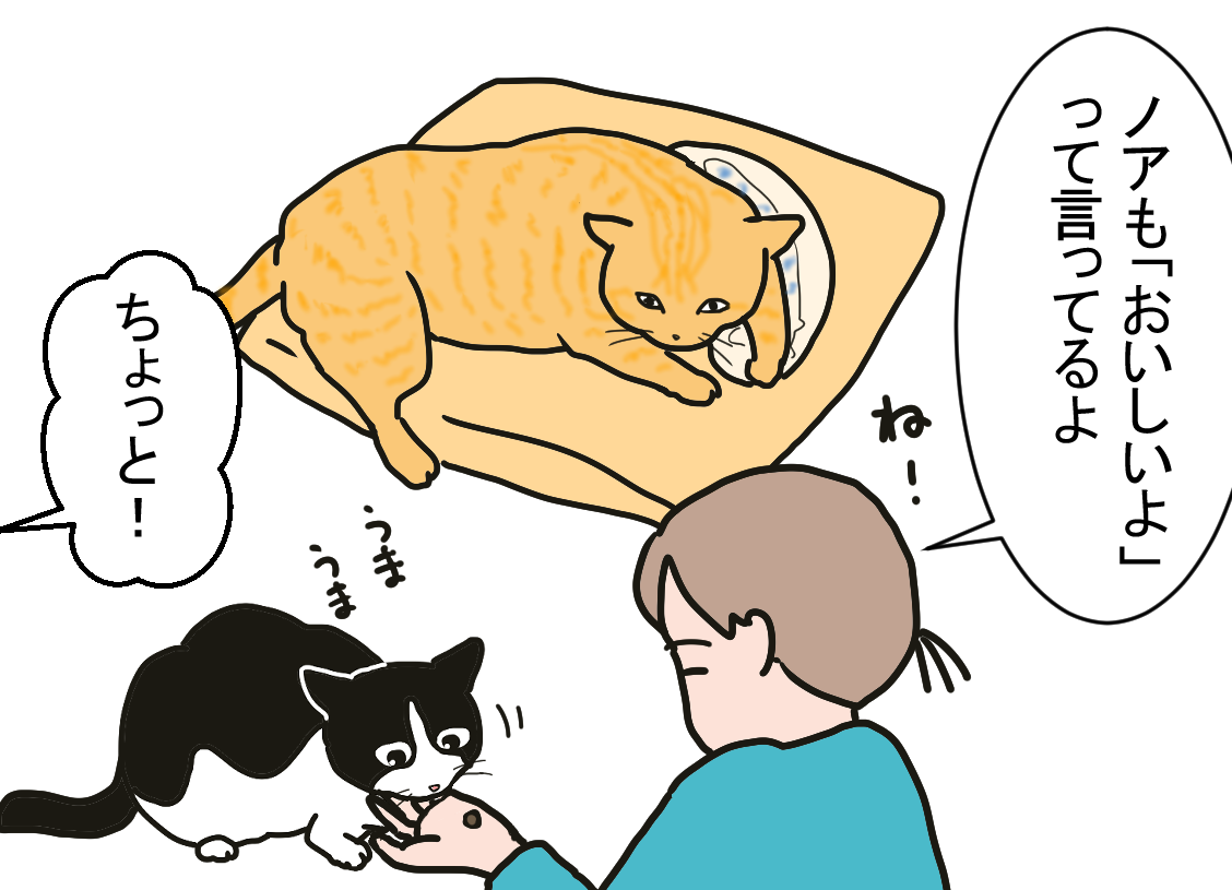 ノアレオン87
