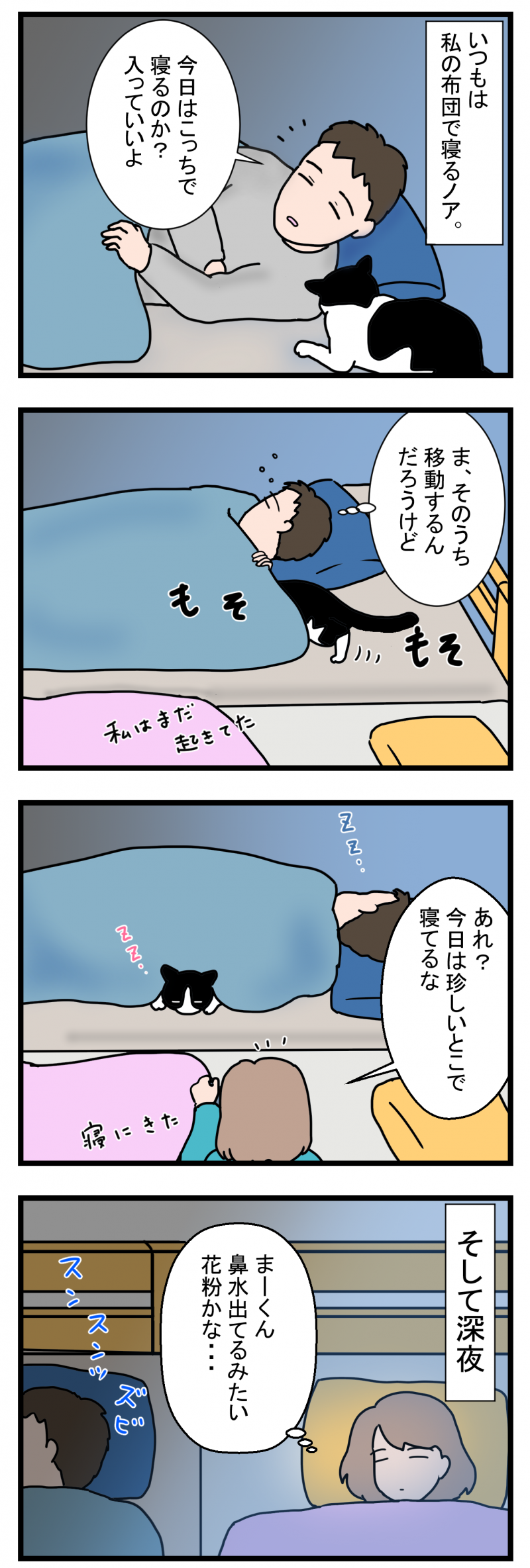 ノアレオン97-1