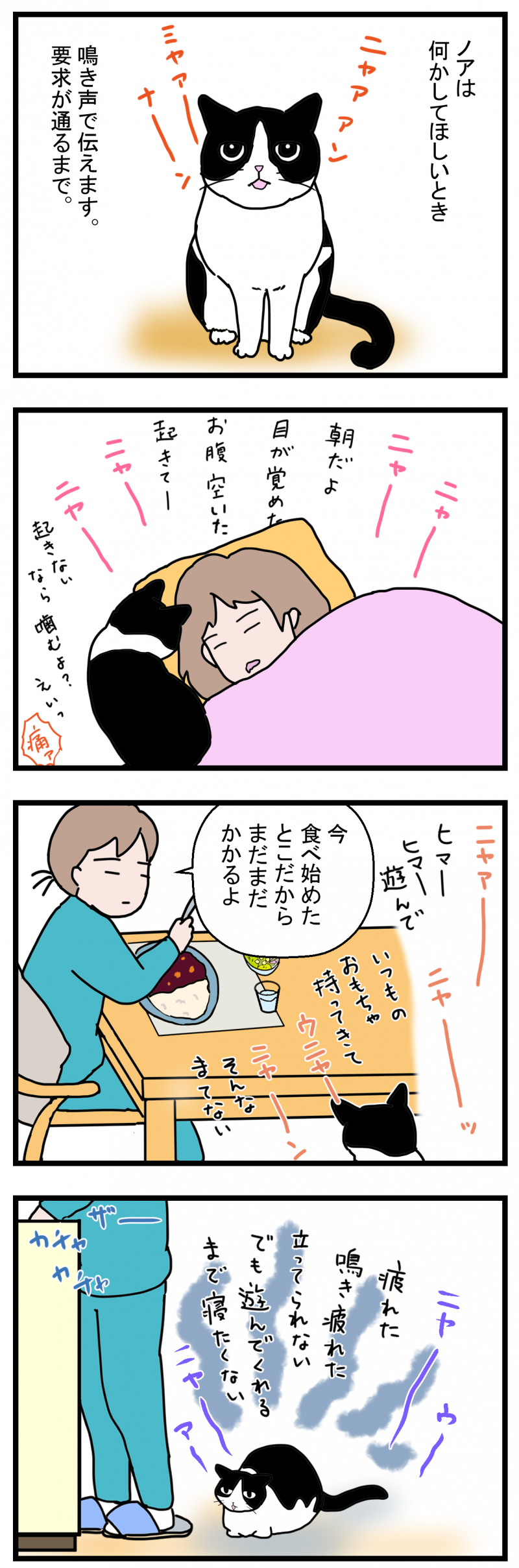 ノアレオン96-1