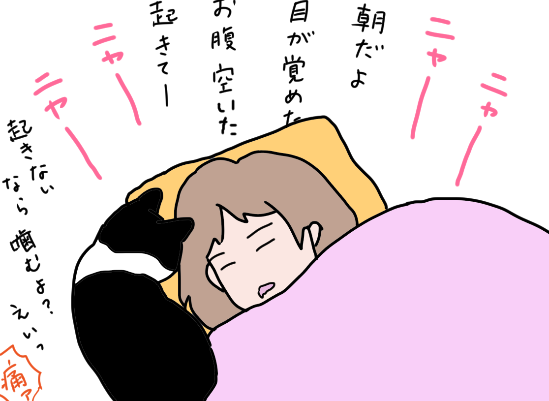 ノアレオン96