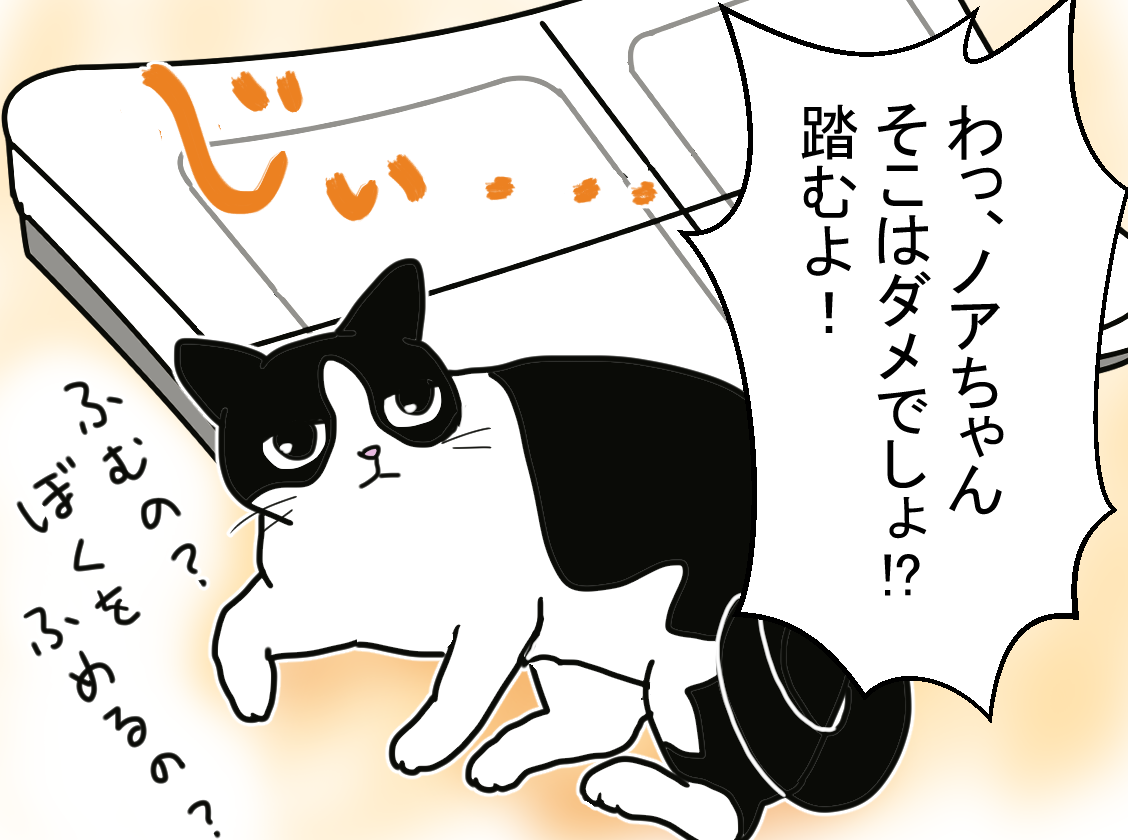 ノアレオン103