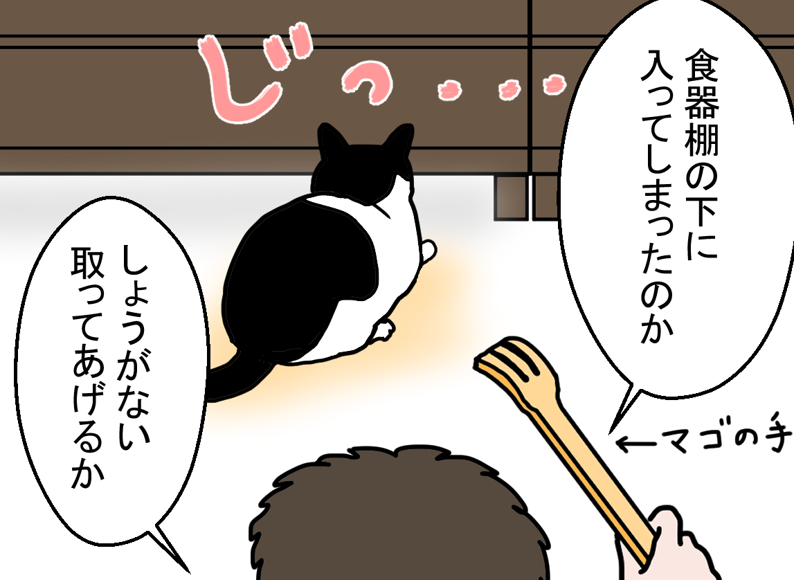 ノアレオン107