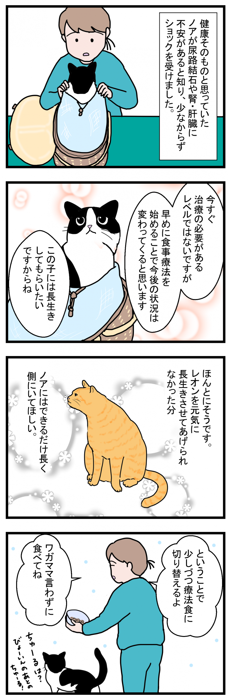 ノアレオン115-1