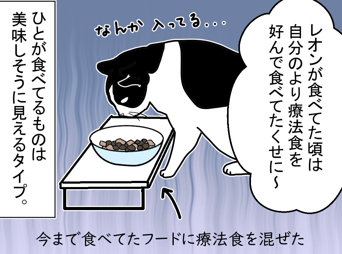ノアレオン115