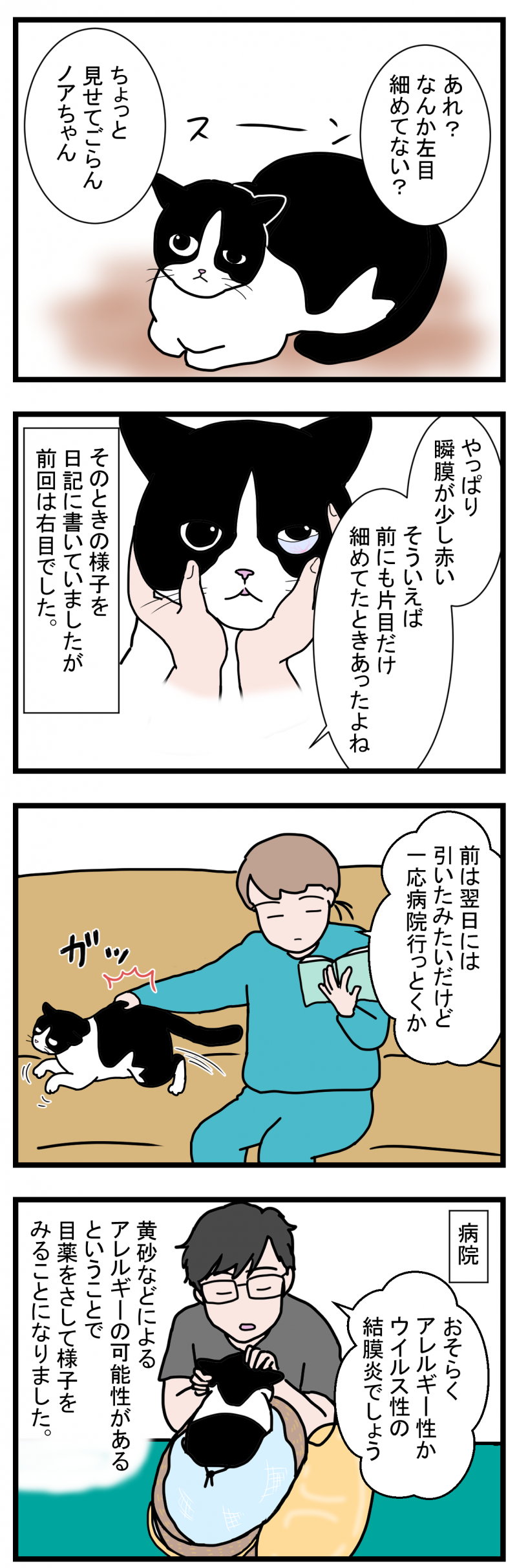 ノアレオン113-1