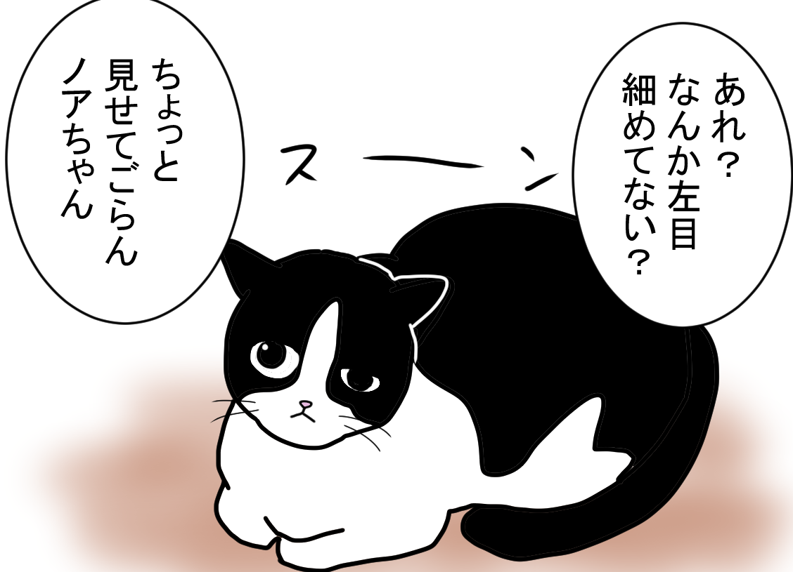 ノアレオン113