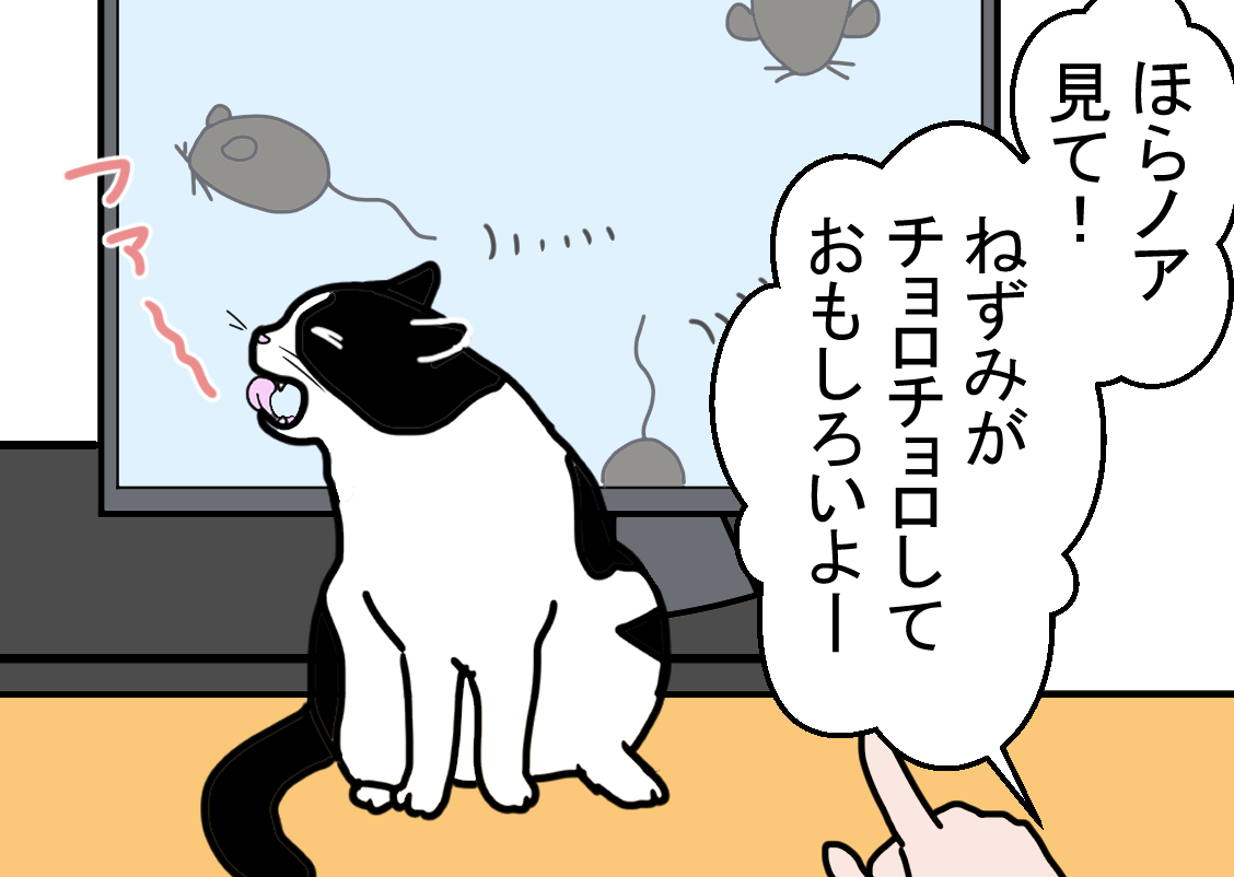 ノアレオン109