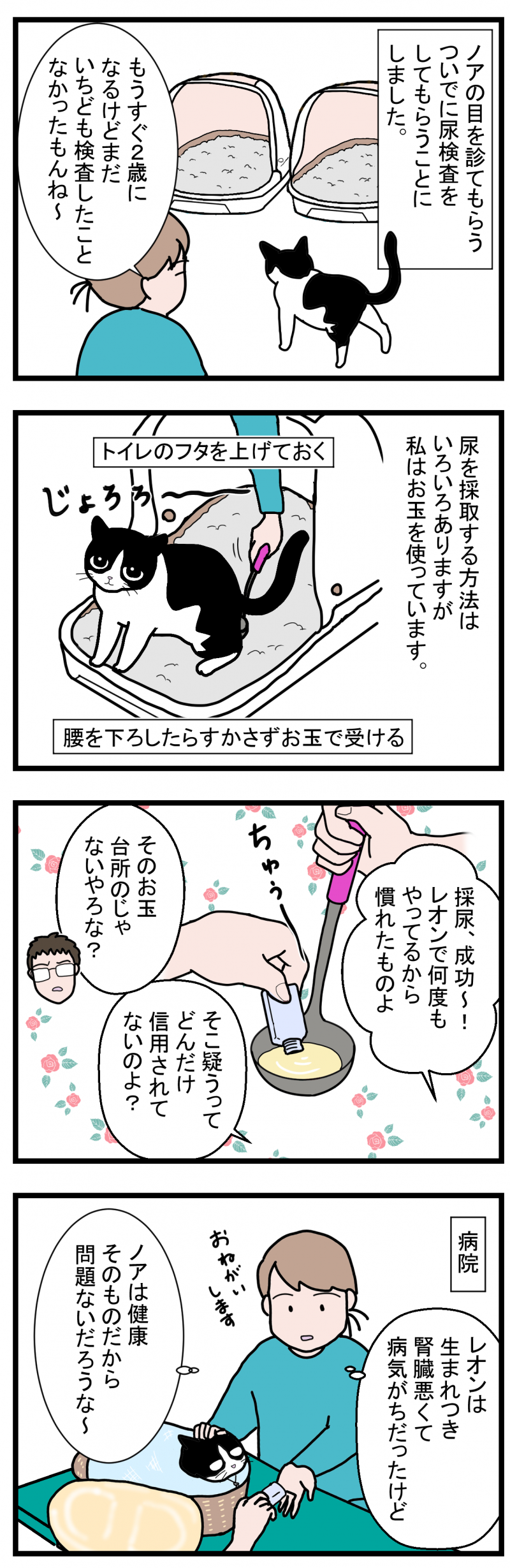 ノアレオン114-1