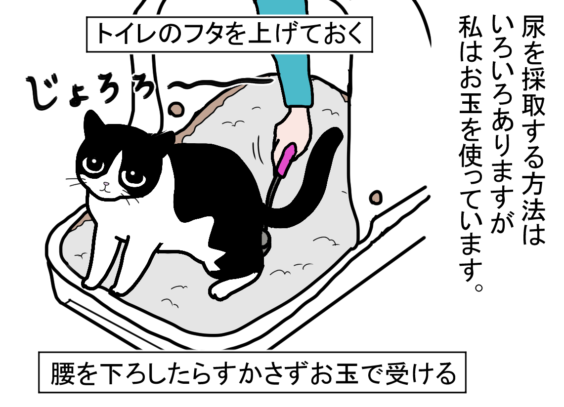 ノアレオン114