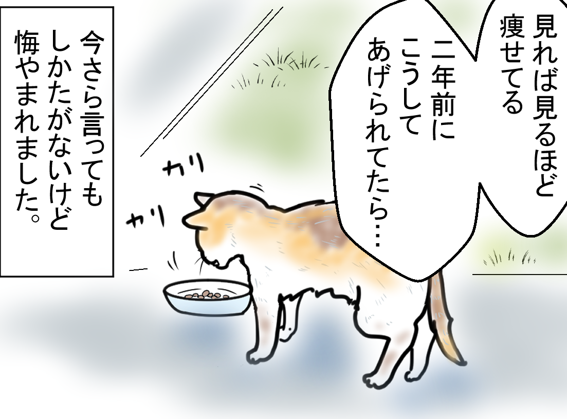 ノアレオン123