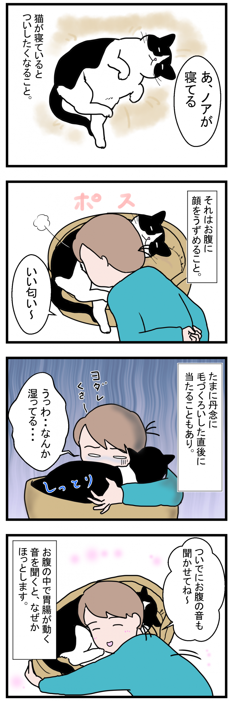 ノアレオン120-1