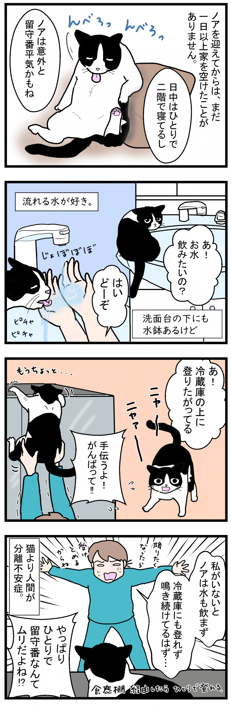 ノアレオン117-2