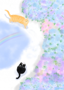 紫陽花と虹