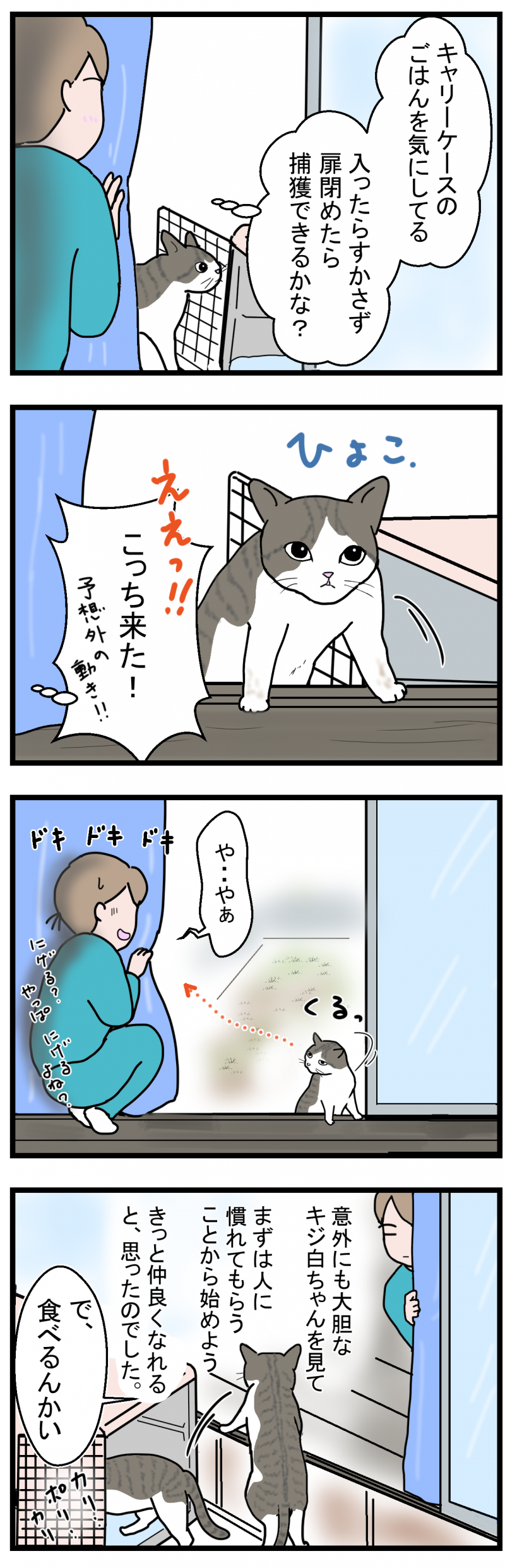 ノアレオン124-2