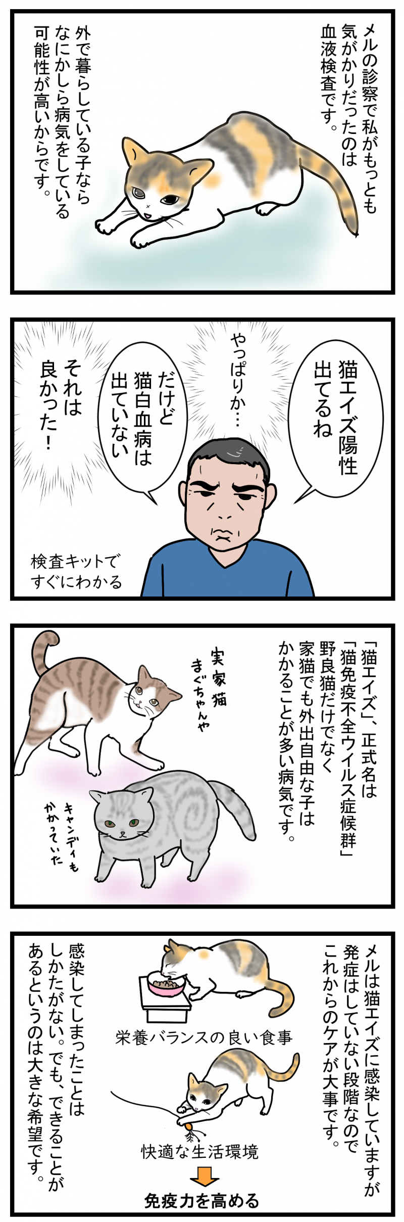 ノアレオン137-1