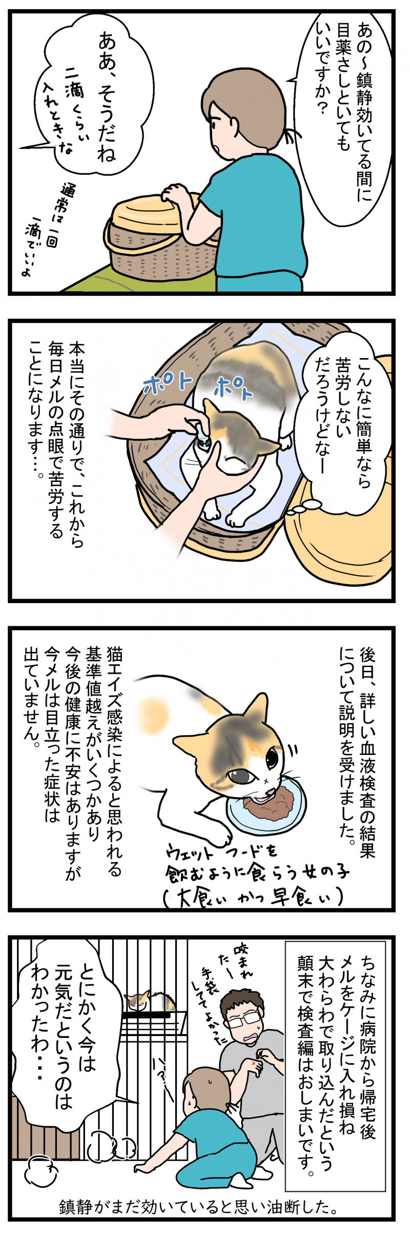 ノアレオン137-2