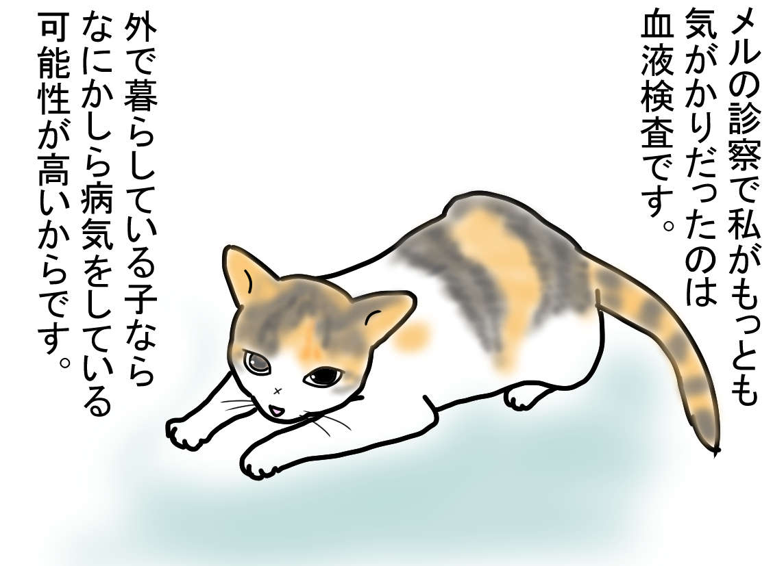 ノアレオン137