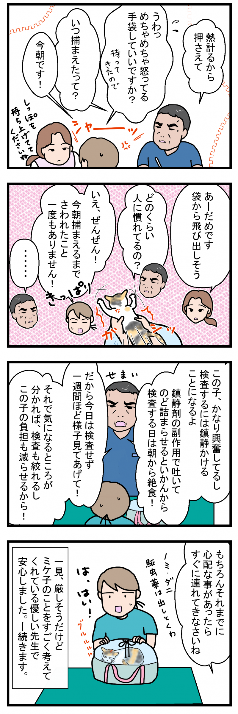 ノアレオン134-2