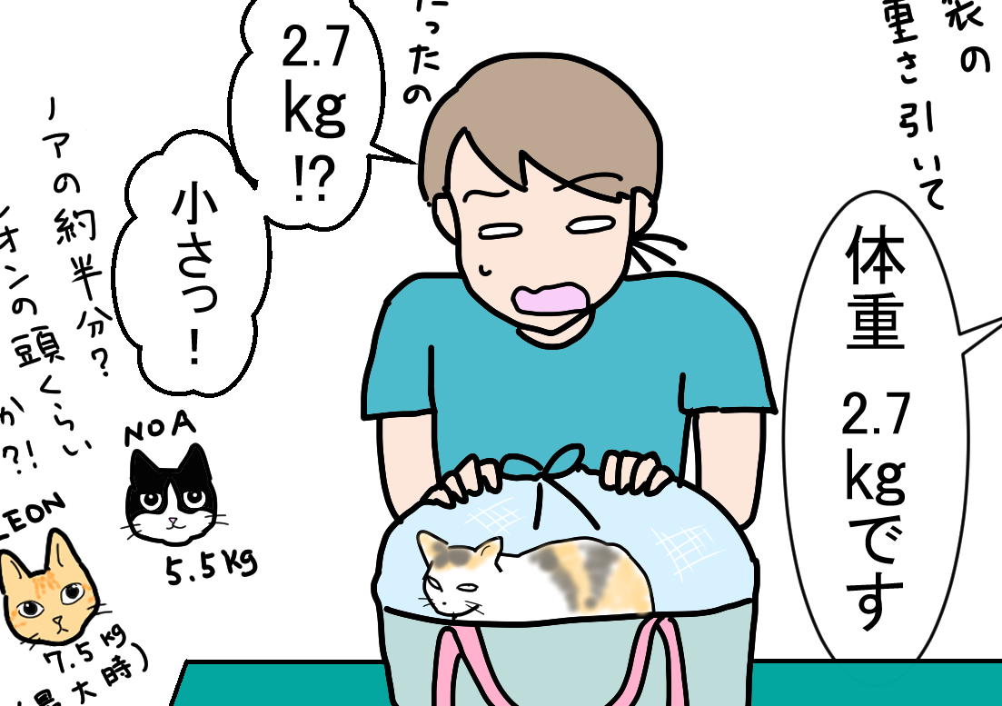ノアレオン134