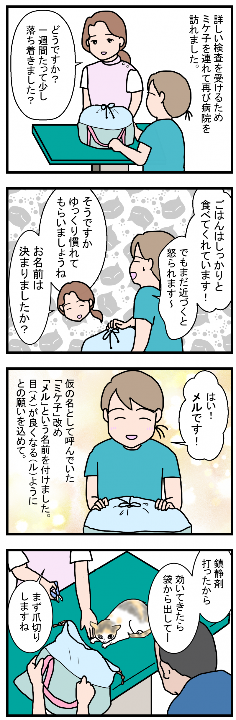ノアレオン136-1