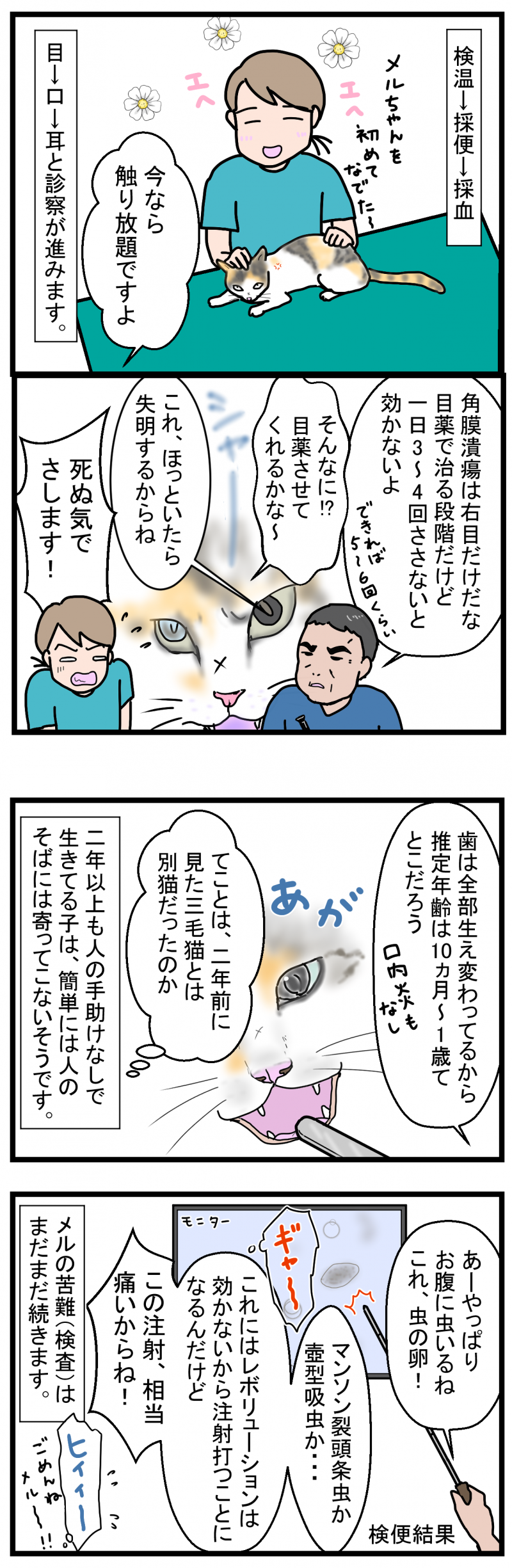 ノアレオン136-2