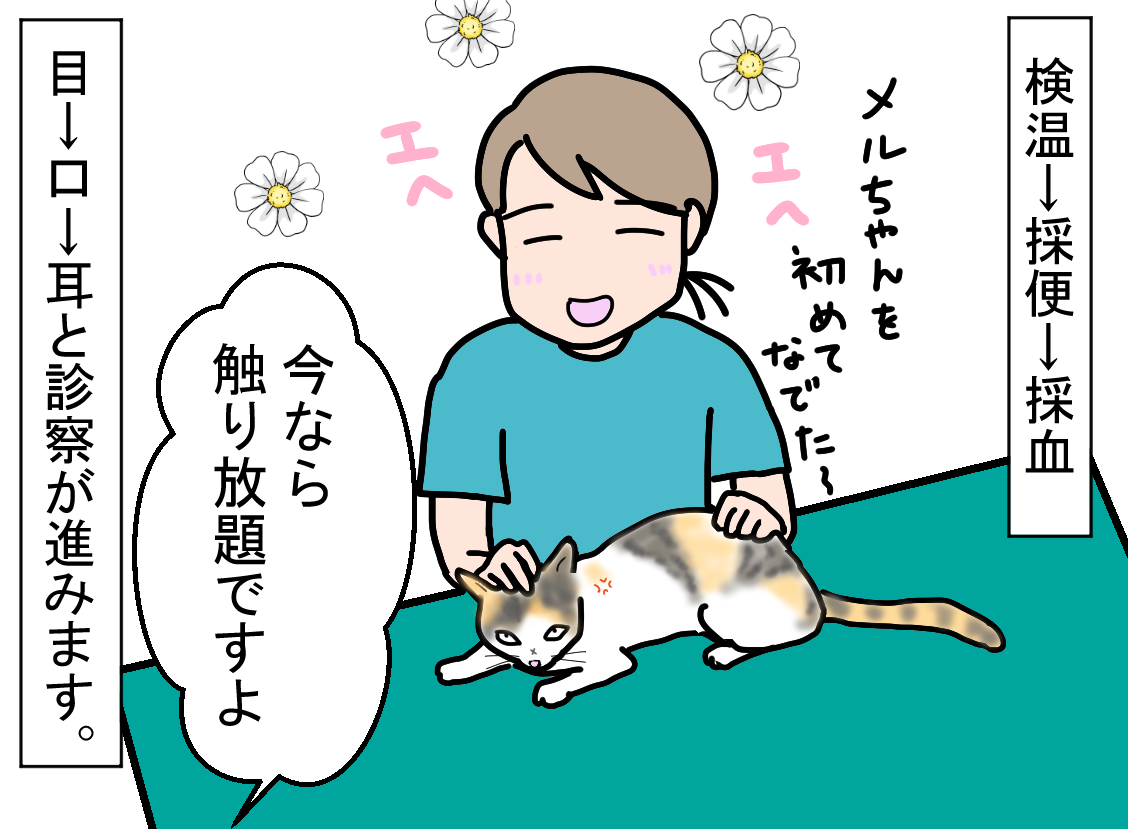 ノアレオン136
