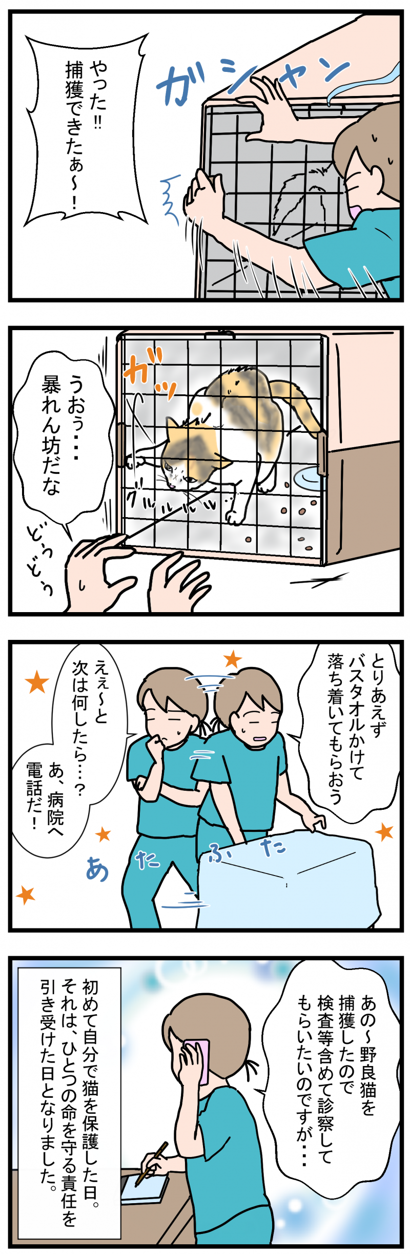 ノアレオン133-2