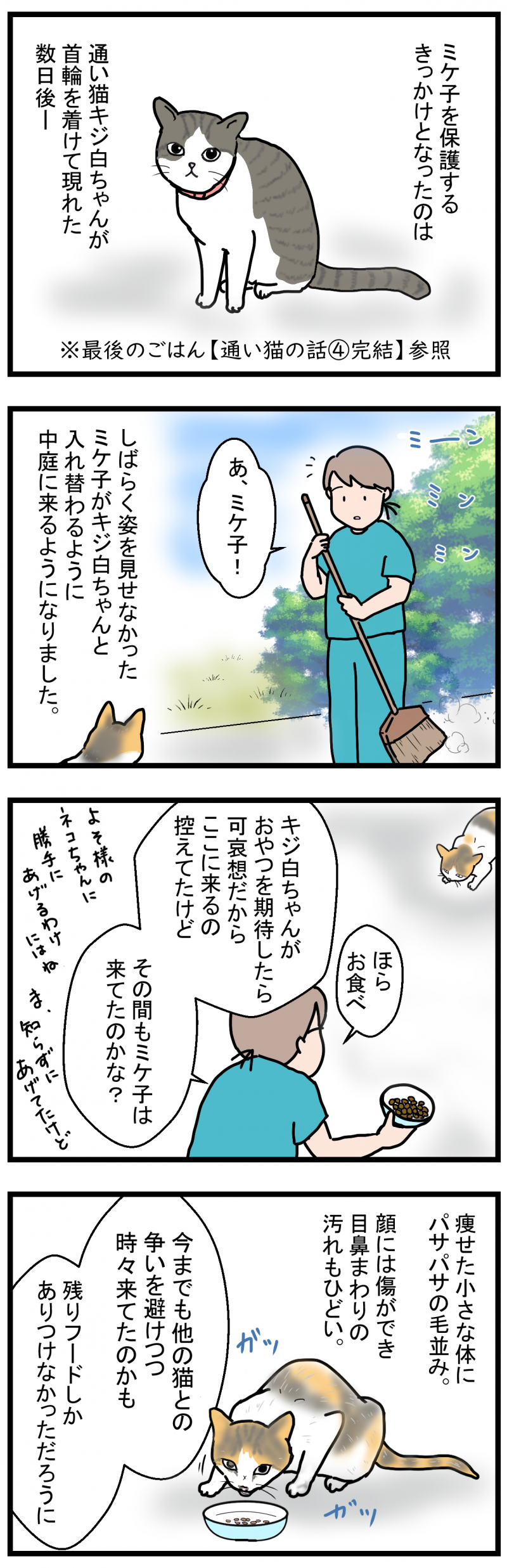 ノアレオン132-1