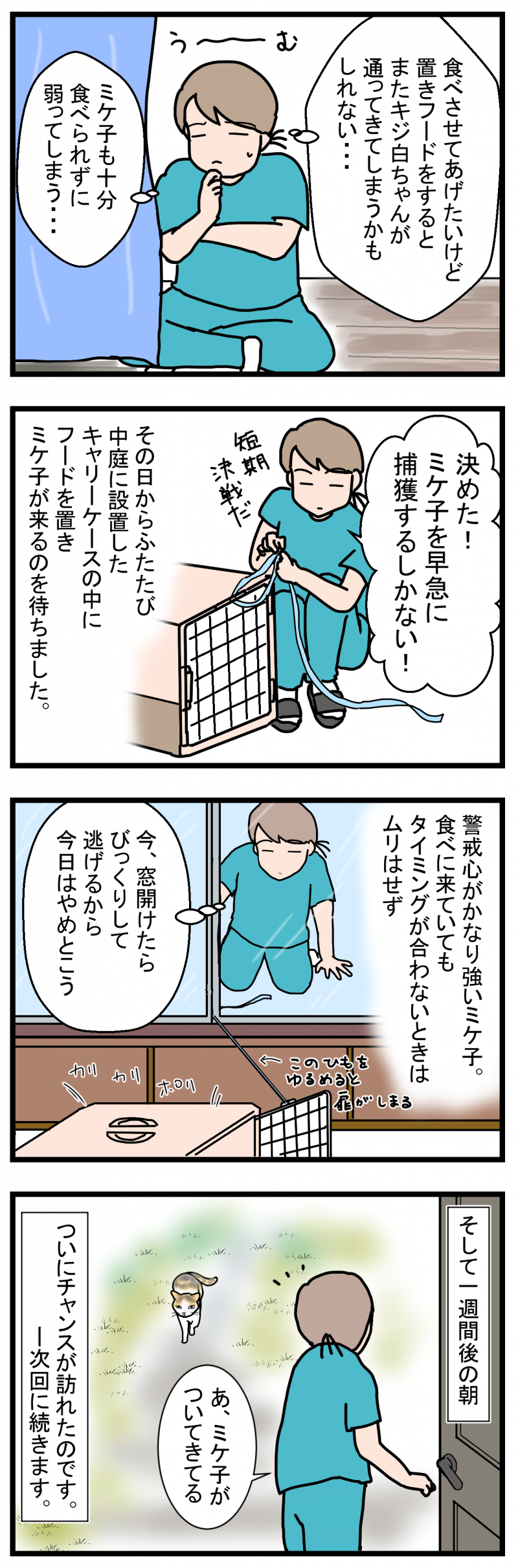 ノアレオン132-2