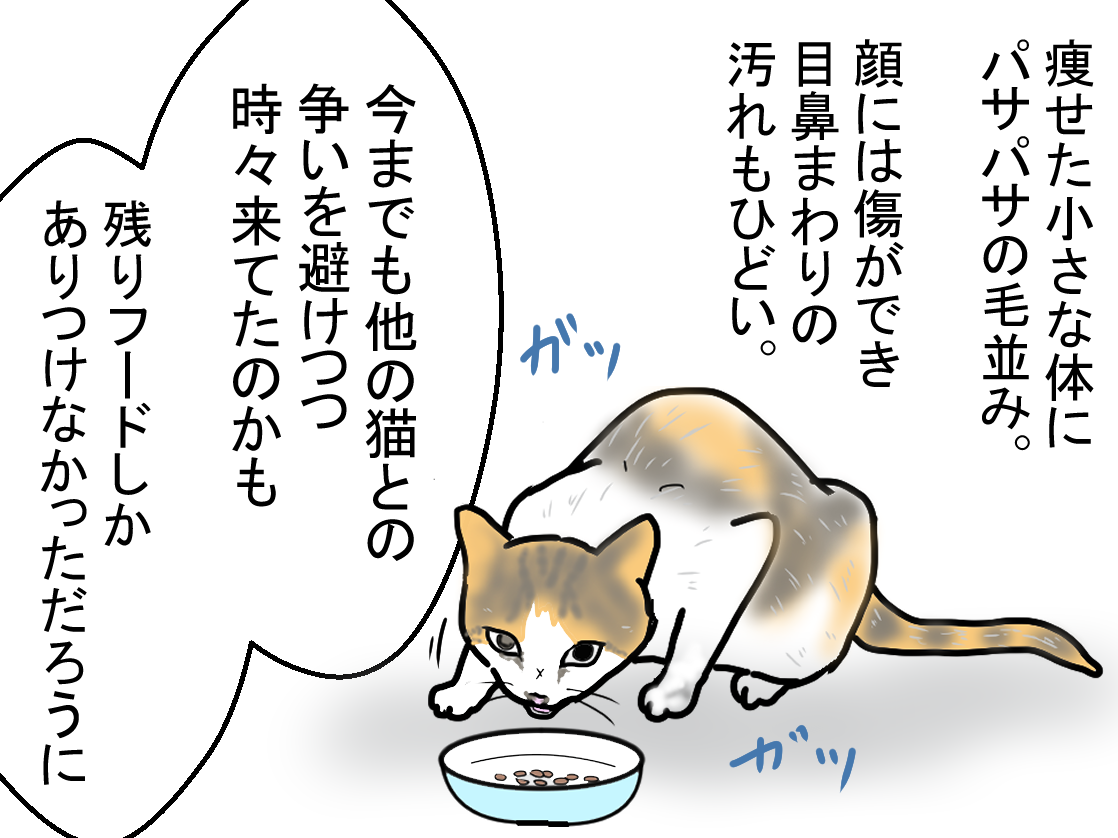 ノアレオン132