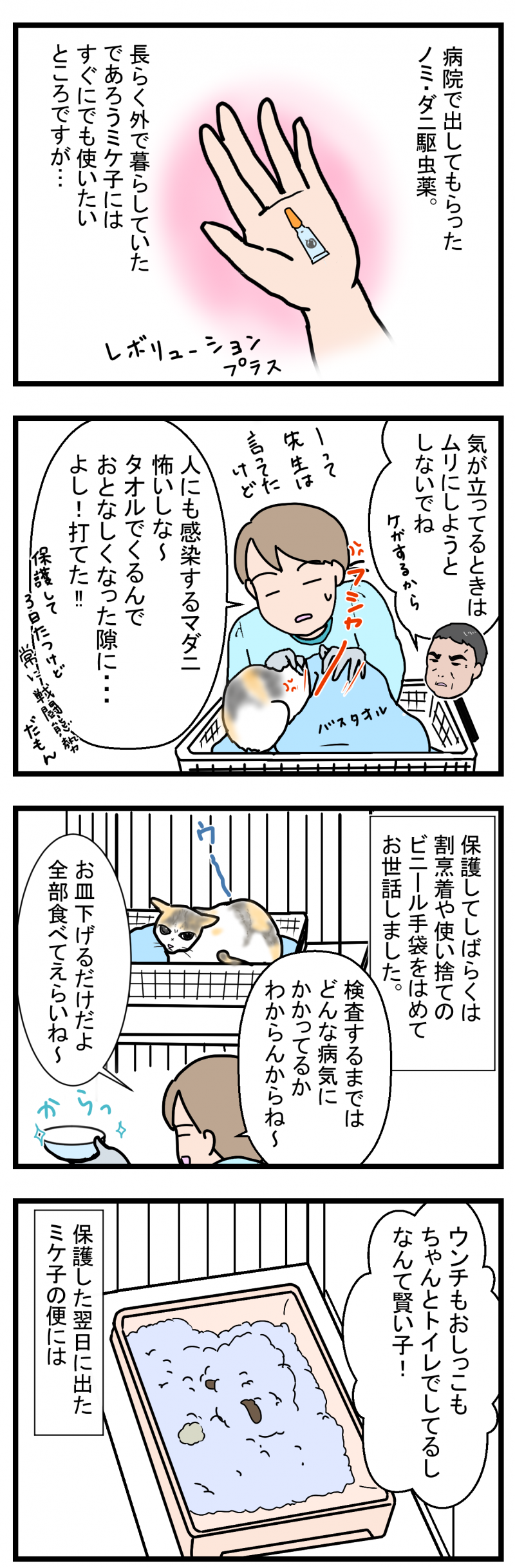 ノアレオン135-1
