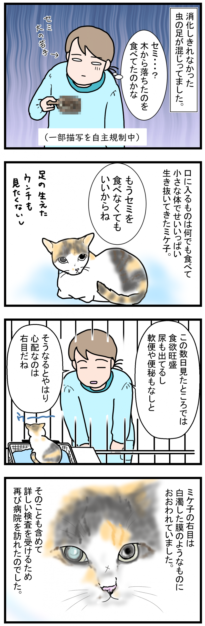 ノアレオン135-2