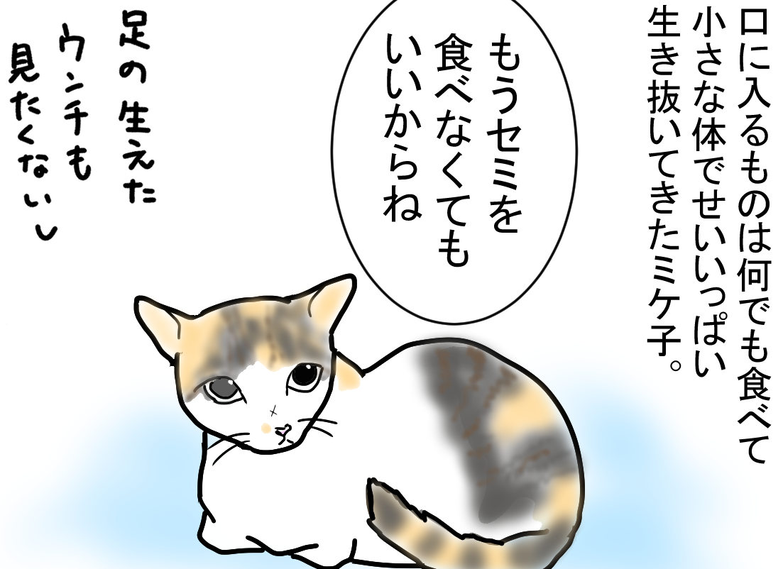 ノアレオン135