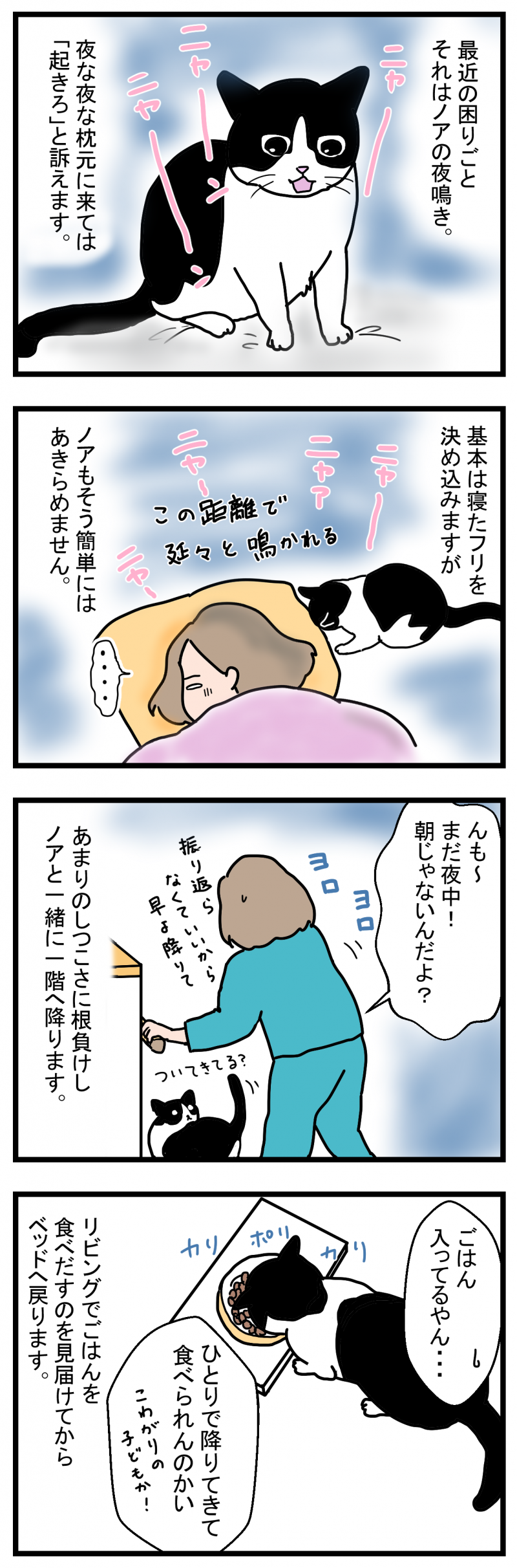 ノアレオン138-1