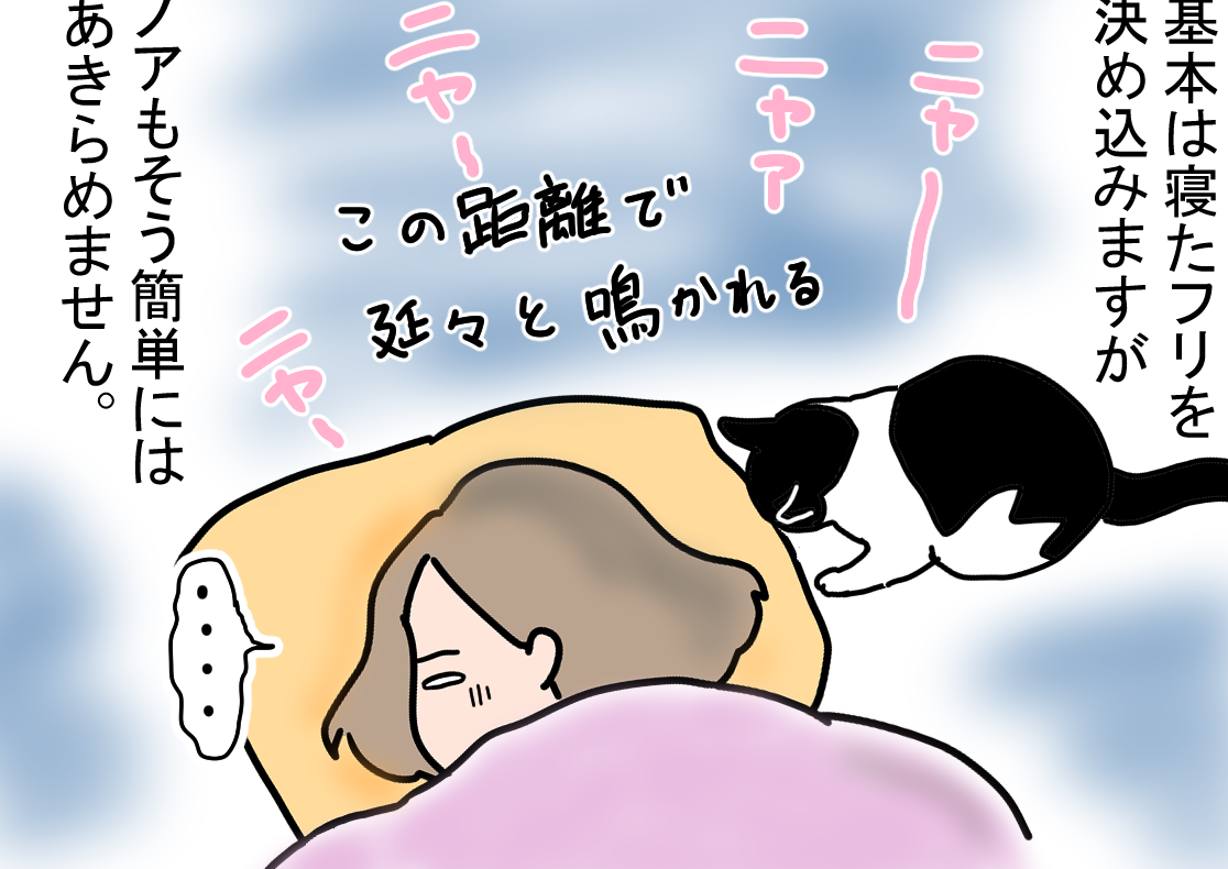 ノアレオン138