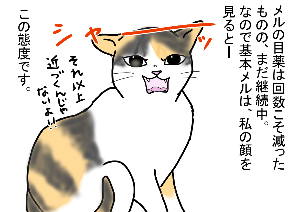 ノアレオン140