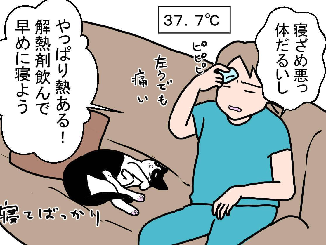 ノアレオン141