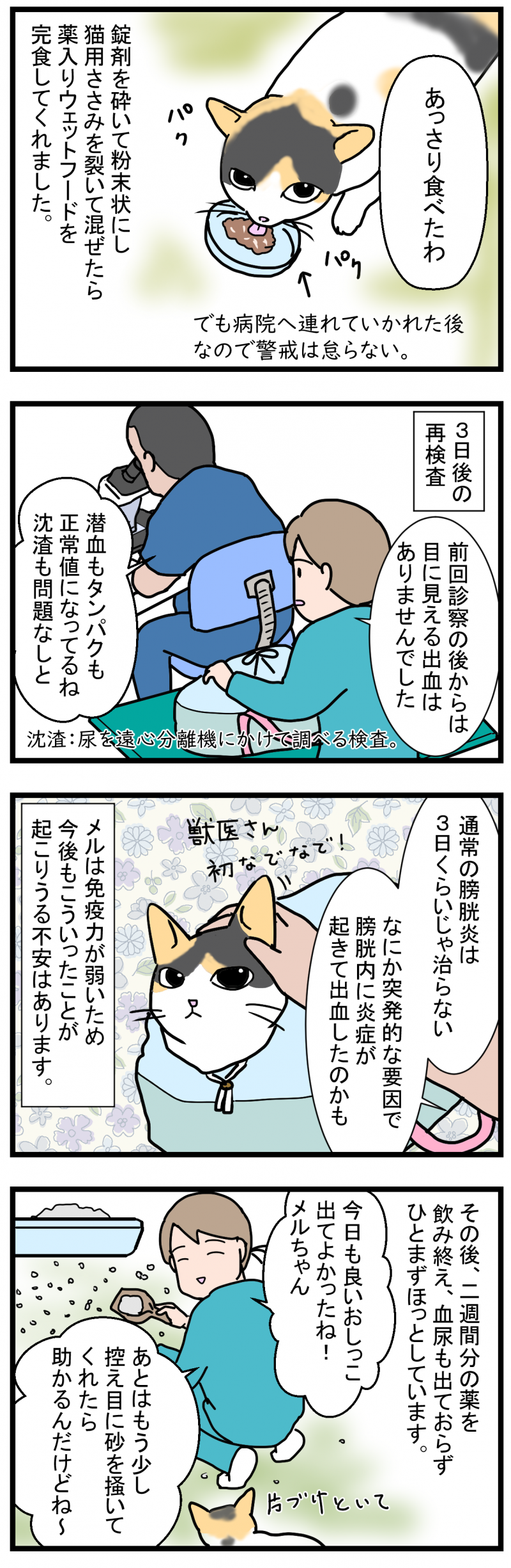 ノアレオン144-2