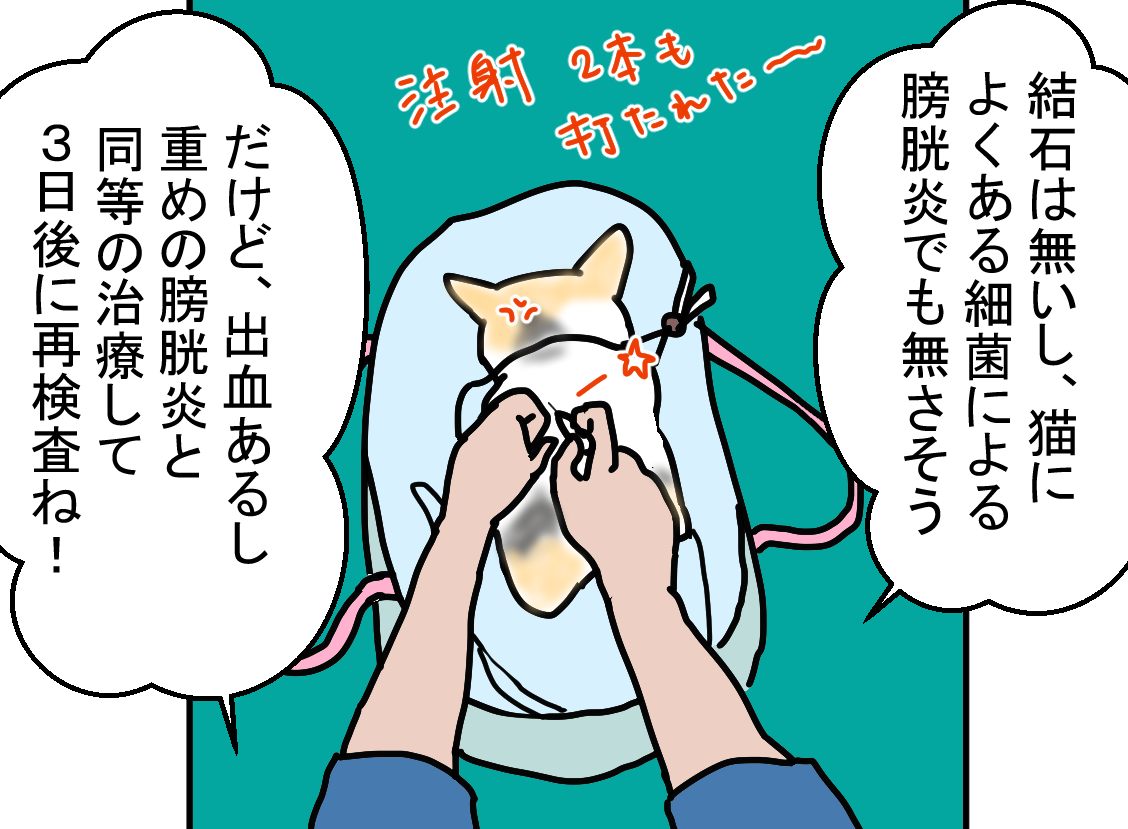 ノアレオン144