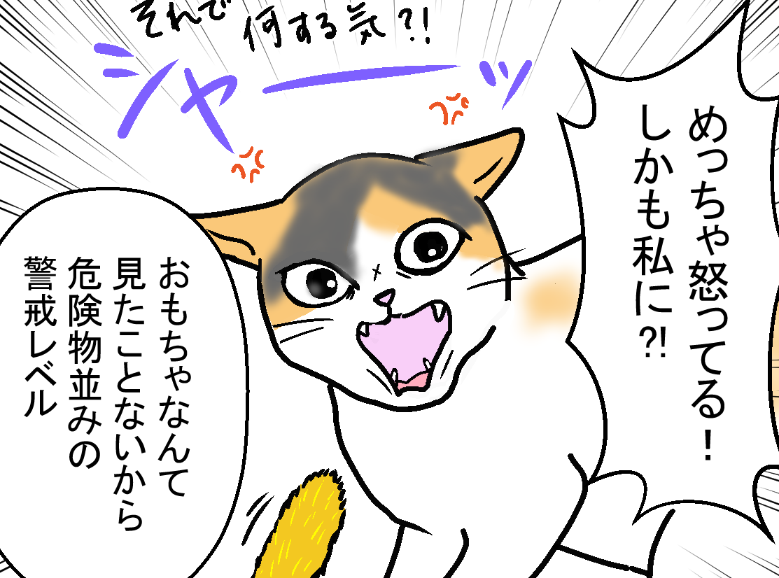 155
