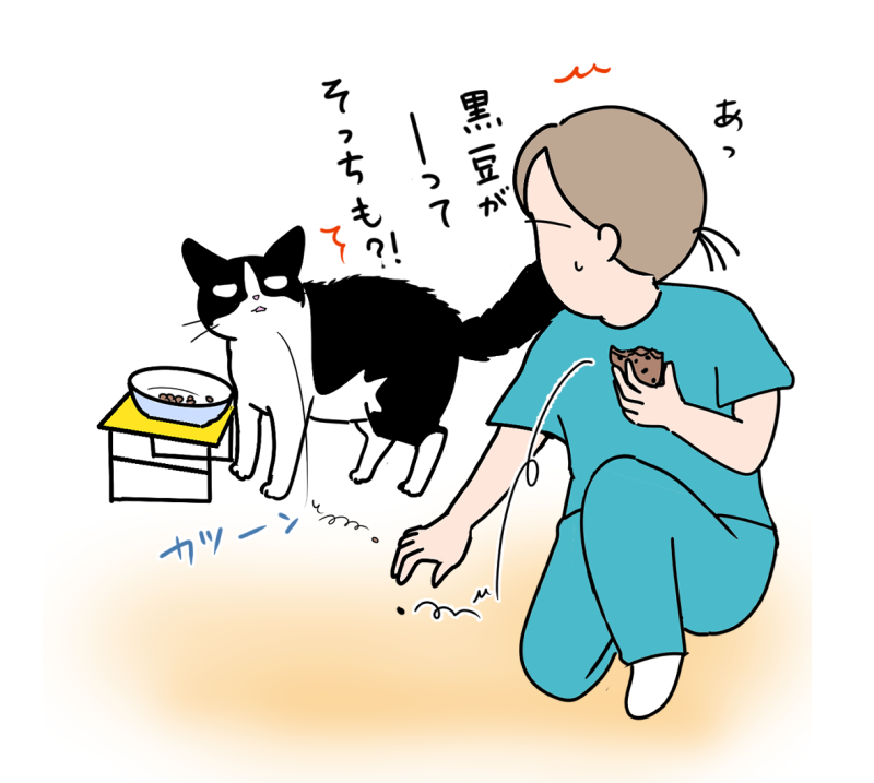 画像に alt 属性が指定されていません。ファイル名: a3f834405e1edbb54b28c2538e477b8b-e1735622743231-800x717.png